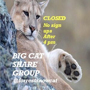 BIG CAT SHARE GROUP  MONDAY 4/6 CLOSED